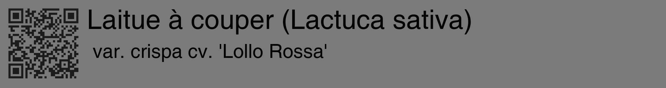 Étiquette de : Lactuca sativa var. crispa cv. 'Lollo Rossa' - format c - style noire3_basique_basiquehel avec qrcode et comestibilité