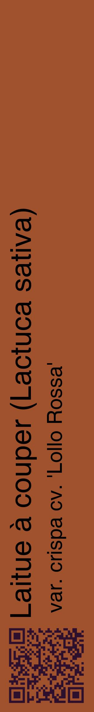 Étiquette de : Lactuca sativa var. crispa cv. 'Lollo Rossa' - format c - style noire32_basiquehel avec qrcode et comestibilité