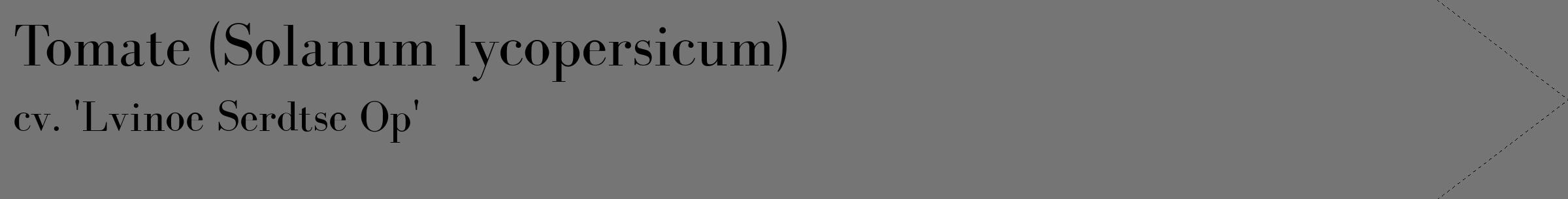 Étiquette de : Solanum lycopersicum cv. 'Lvinoe Serdtse Op' - format c - style noire5_simple_simplebod avec comestibilité