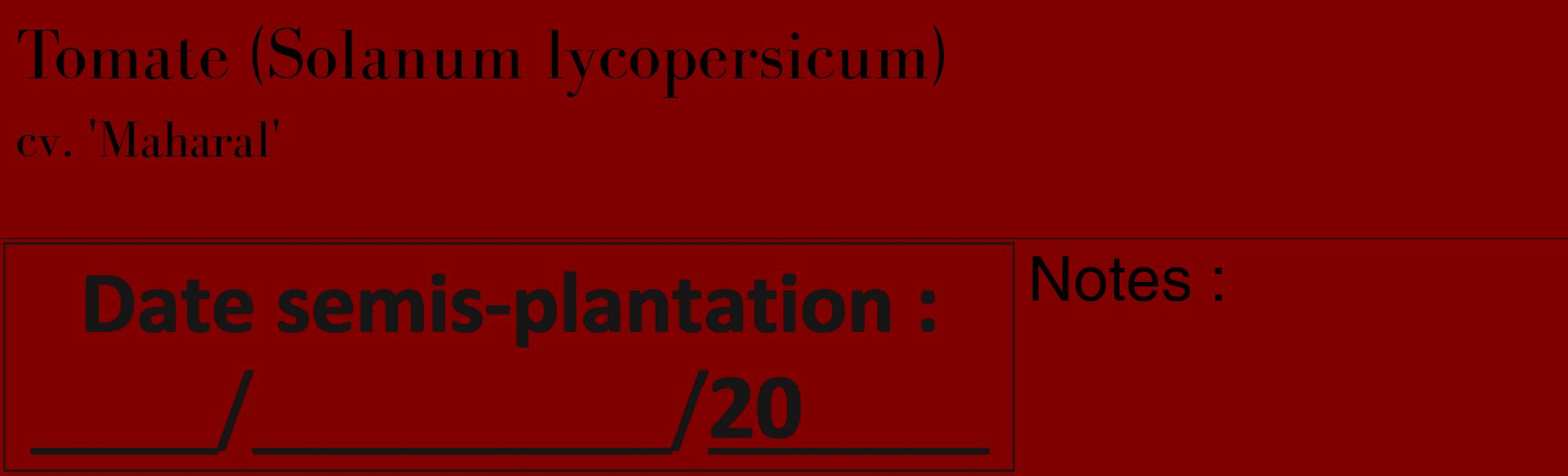 Étiquette de : Solanum lycopersicum cv. 'Maharal' - format c - style noire29_basique_basiquebod avec comestibilité