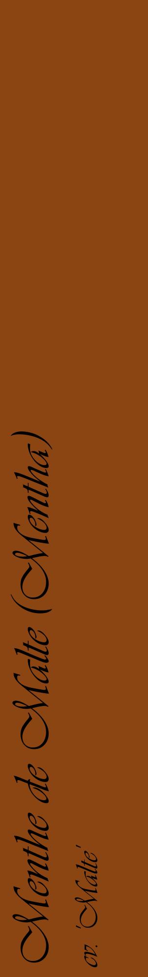 Étiquette de : Mentha cv. 'Malte' - format c - style noire30_basiqueviv avec comestibilité
