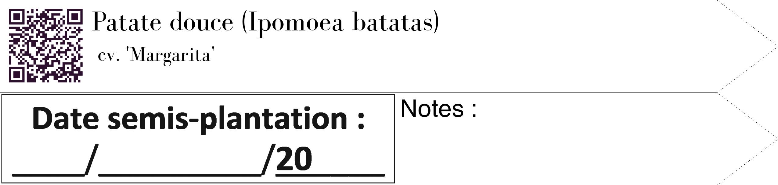 Étiquette de : Ipomoea batatas cv. 'Margarita' - format c - style noire60_simple_simplebod avec qrcode et comestibilité