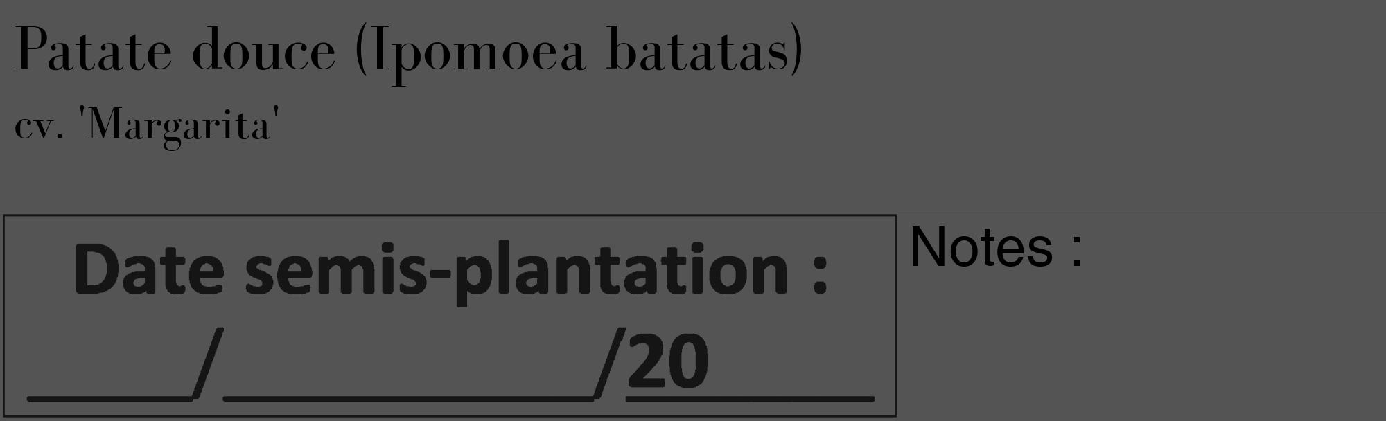 Étiquette de : Ipomoea batatas cv. 'Margarita' - format c - style noire30_basique_basiquebod avec comestibilité