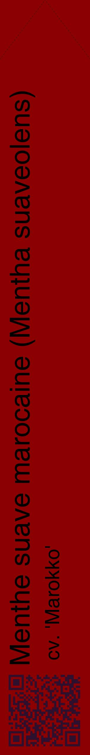 Étiquette de : Mentha suaveolens cv. 'Marokko' - format c - style noire34_simplehel avec qrcode et comestibilité