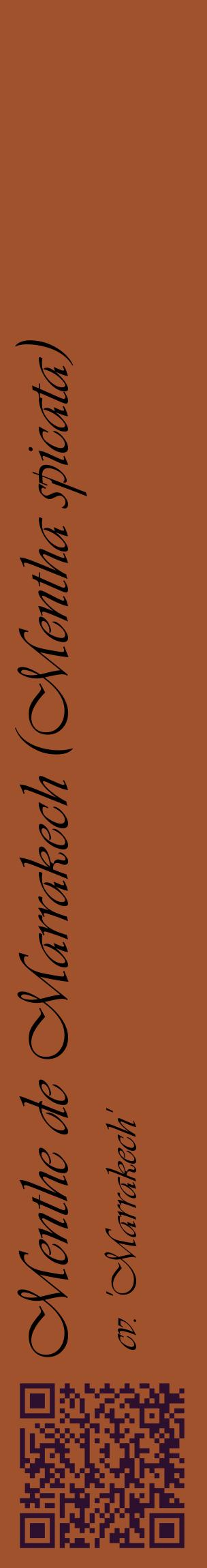 Étiquette de : Mentha spicata cv. 'Marrakech' - format c - style noire32_basiqueviv avec qrcode et comestibilité