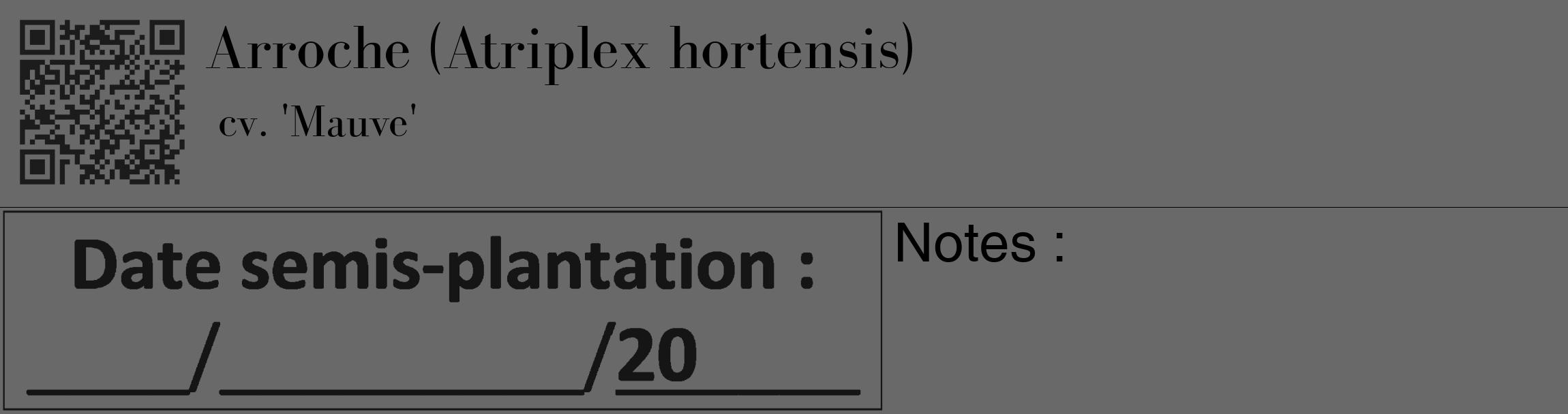 Étiquette de : Atriplex hortensis cv. 'Mauve' - format c - style noire11_basique_basiquebod avec qrcode et comestibilité