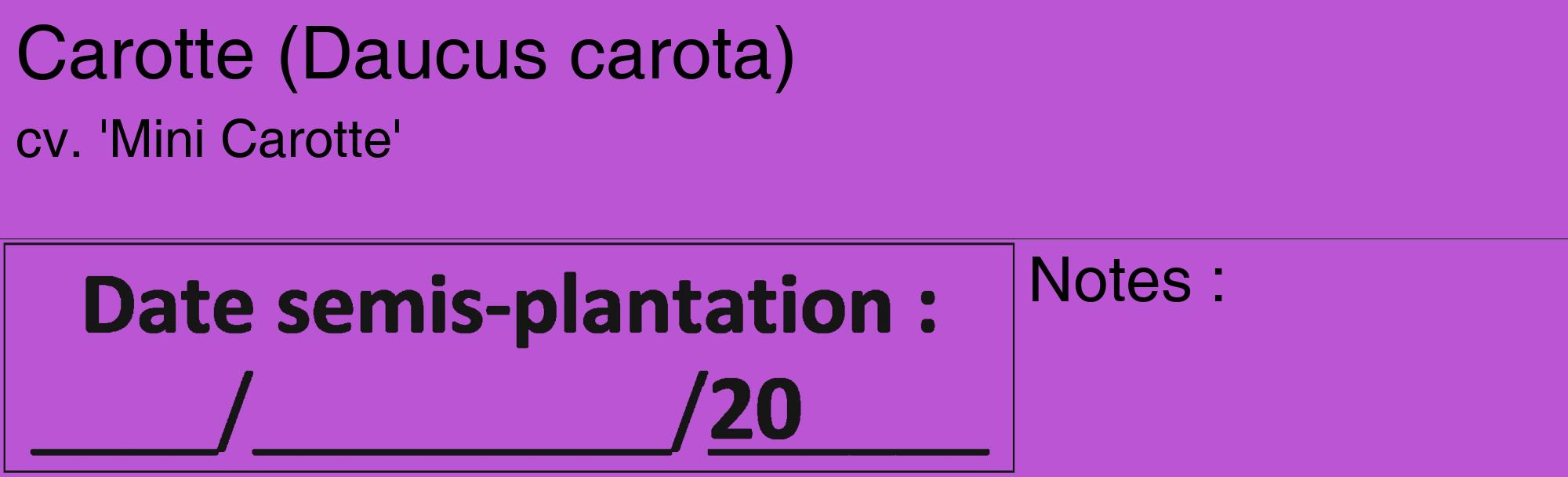 Étiquette de : Daucus carota cv. 'Mini Carotte' - format c - style noire50_basique_basiquehel avec comestibilité
