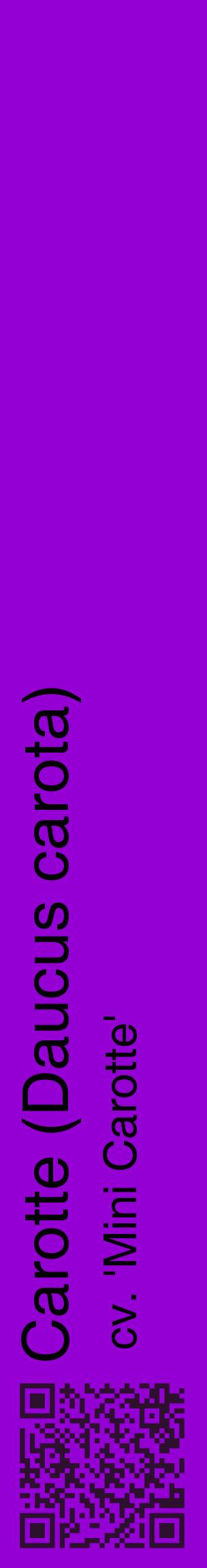 Étiquette de : Daucus carota cv. 'Mini Carotte' - format c - style noire48_basiquehel avec qrcode et comestibilité