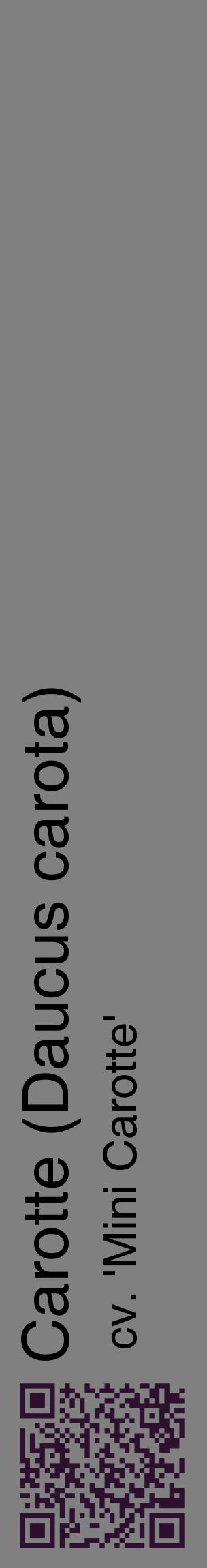Étiquette de : Daucus carota cv. 'Mini Carotte' - format c - style noire57_basiquehel avec qrcode et comestibilité