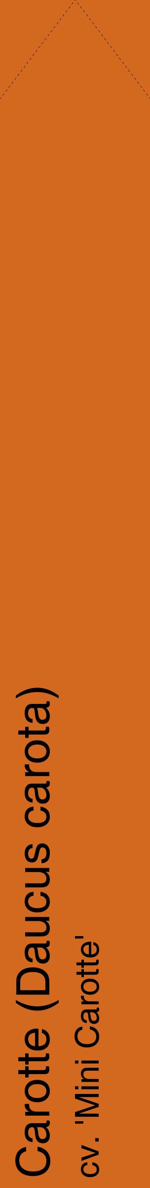 Étiquette de : Daucus carota cv. 'Mini Carotte' - format c - style noire31_simplehel avec comestibilité
