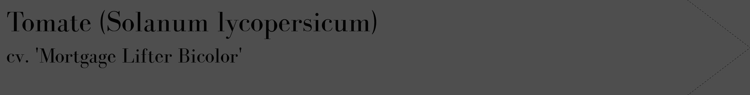Étiquette de : Solanum lycopersicum cv. 'Mortgage Lifter Bicolor' - format c - style noire33_simple_simplebod avec comestibilité