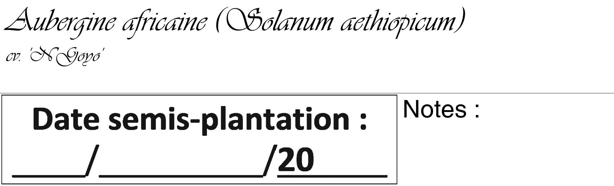 Étiquette de : Solanum aethiopicum cv. 'N'Goyo' - format c - style noire60_basique_basiqueviv avec comestibilité