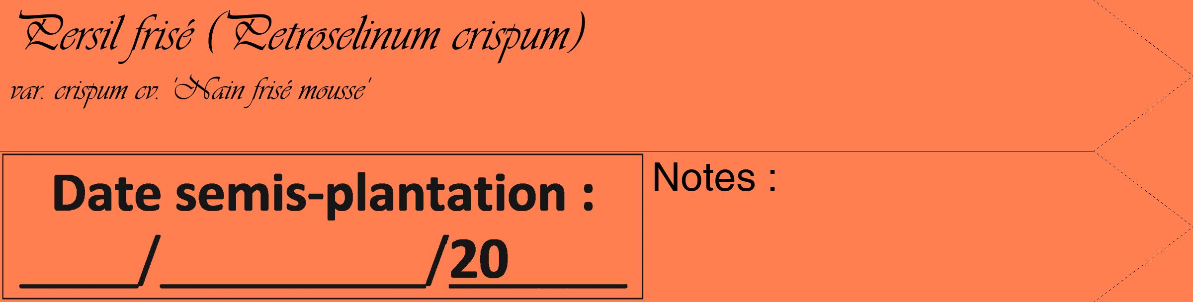 Étiquette de : Petroselinum crispum var. crispum cv. 'Nain frisé mousse' - format c - style noire24_simple_simpleviv avec comestibilité