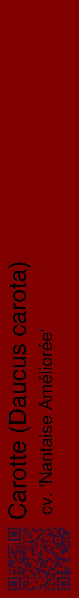 Étiquette de : Daucus carota cv. 'Nantaise Améliorée' - format c - style noire29_basiquehel avec qrcode et comestibilité