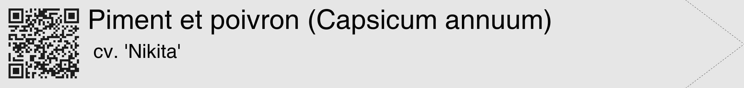 Étiquette de : Capsicum annuum cv. 'Nikita' - format c - style noire18_simple_simplehel avec qrcode et comestibilité