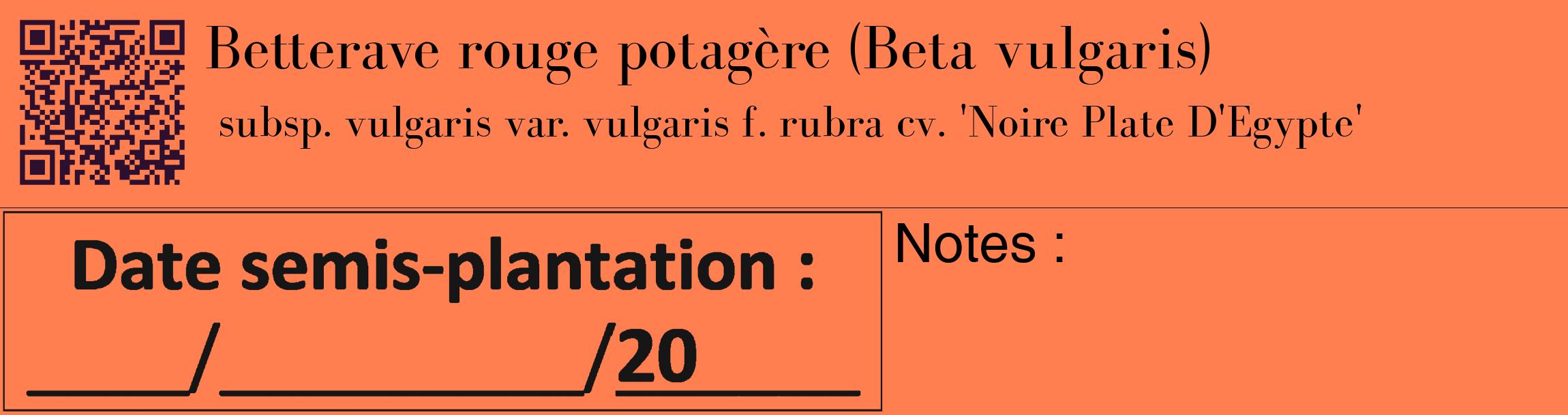 Étiquette de : Beta vulgaris subsp. vulgaris var. vulgaris f. rubra cv. 'Noire Plate D'Egypte' - format c - style noire24_basique_basiquebod avec qrcode et comestibilité