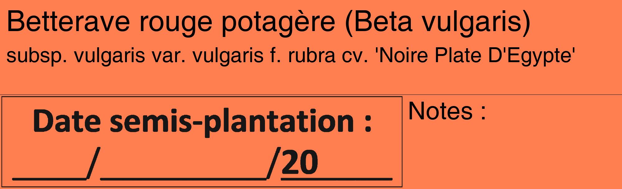 Étiquette de : Beta vulgaris subsp. vulgaris var. vulgaris f. rubra cv. 'Noire Plate D'Egypte' - format c - style noire24_basique_basiquehel avec comestibilité