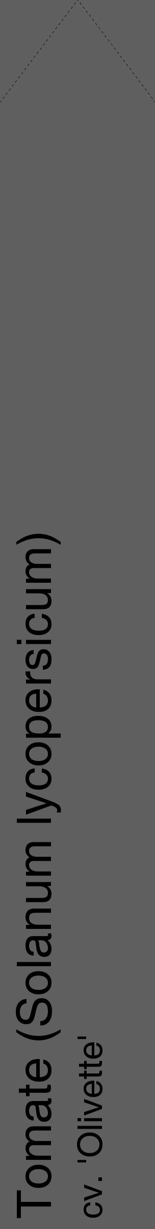 Étiquette de : Solanum lycopersicum cv. 'Olivette' - format c - style noire10_simple_simplehel avec comestibilité - position verticale