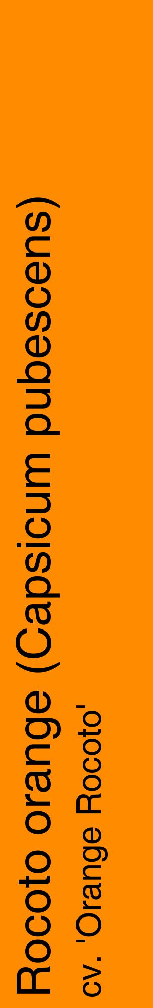 Étiquette de : Capsicum pubescens cv. 'Orange Rocoto' - format c - style noire23_basiquehel avec comestibilité