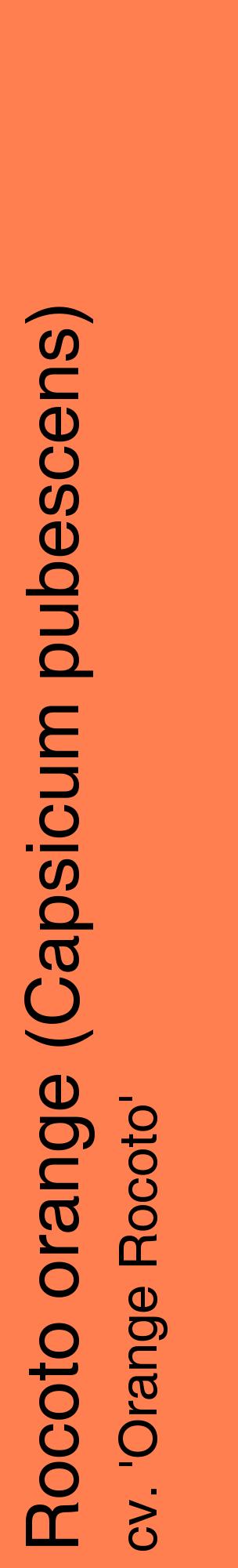 Étiquette de : Capsicum pubescens cv. 'Orange Rocoto' - format c - style noire24_basiquehel avec comestibilité