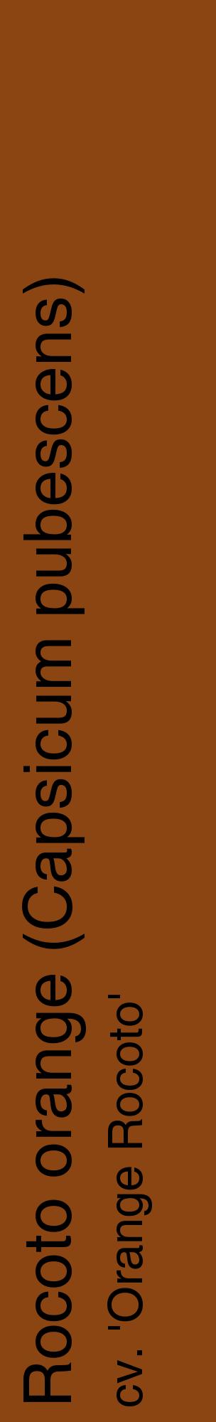 Étiquette de : Capsicum pubescens cv. 'Orange Rocoto' - format c - style noire30_basiquehel avec comestibilité