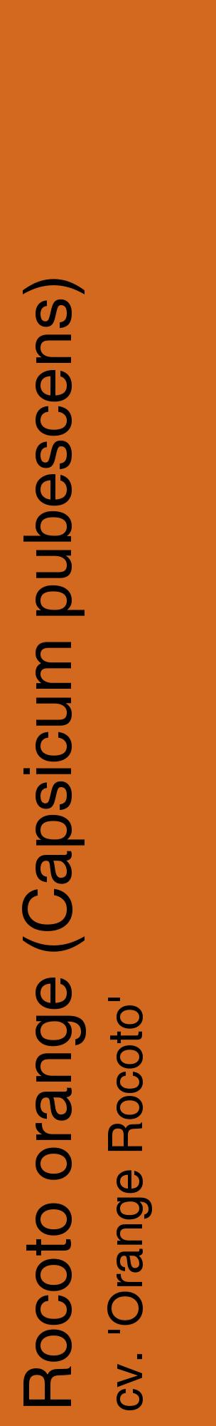 Étiquette de : Capsicum pubescens cv. 'Orange Rocoto' - format c - style noire31_basiquehel avec comestibilité