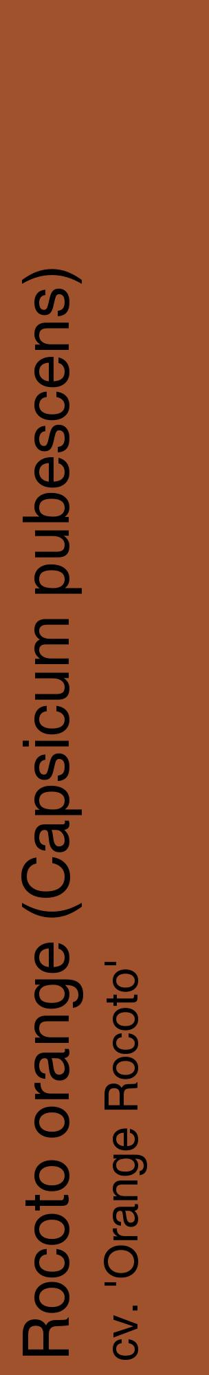 Étiquette de : Capsicum pubescens cv. 'Orange Rocoto' - format c - style noire32_basiquehel avec comestibilité