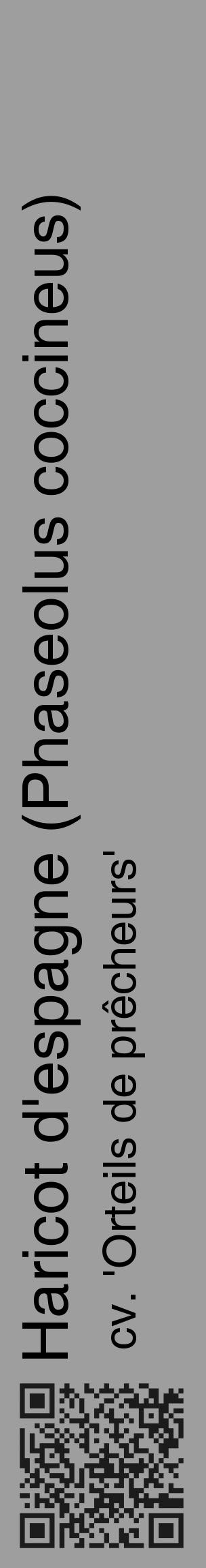 Étiquette de : Phaseolus coccineus cv. 'Orteils de prêcheurs' - format c - style noire42_basique_basiquehel avec qrcode et comestibilité - position verticale