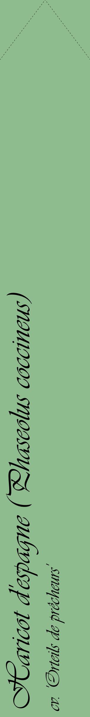 Étiquette de : Phaseolus coccineus cv. 'Orteils de prêcheurs' - format c - style noire13_simpleviv avec comestibilité