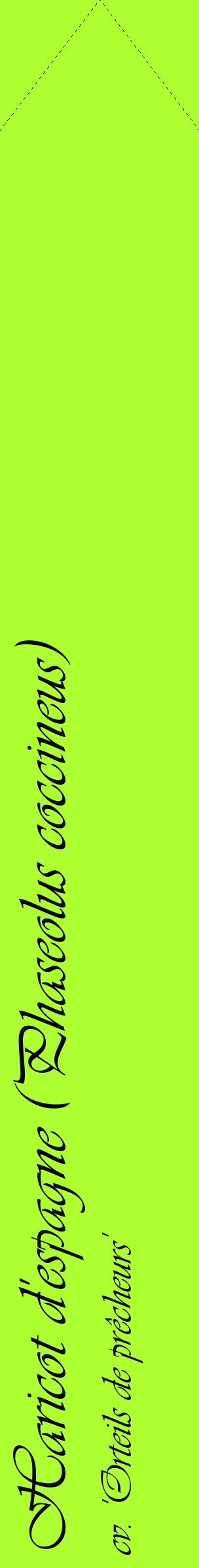 Étiquette de : Phaseolus coccineus cv. 'Orteils de prêcheurs' - format c - style noire17_simpleviv avec comestibilité