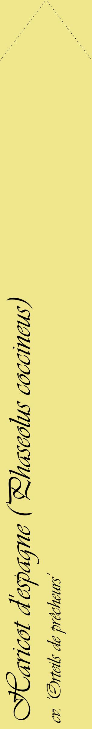 Étiquette de : Phaseolus coccineus cv. 'Orteils de prêcheurs' - format c - style noire20_simpleviv avec comestibilité