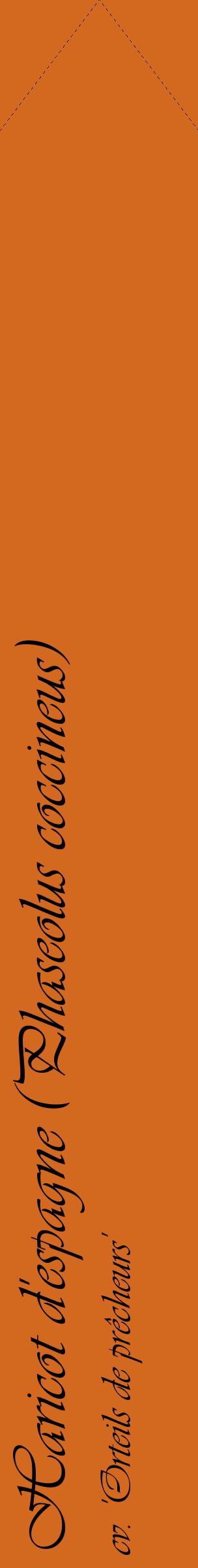 Étiquette de : Phaseolus coccineus cv. 'Orteils de prêcheurs' - format c - style noire31_simpleviv avec comestibilité