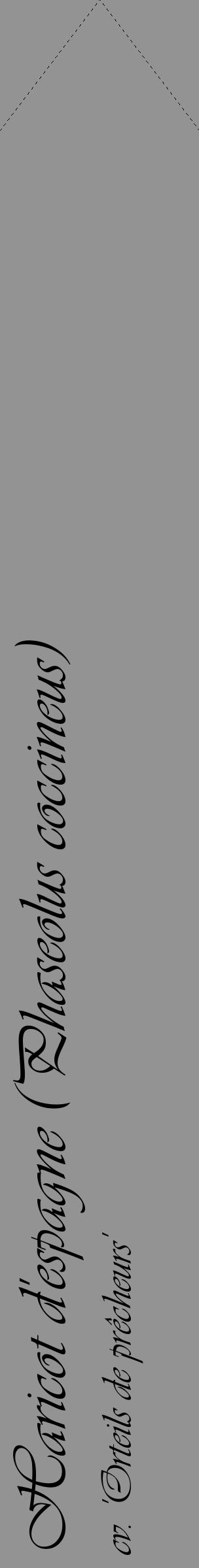 Étiquette de : Phaseolus coccineus cv. 'Orteils de prêcheurs' - format c - style noire44_simple_simpleviv avec comestibilité - position verticale
