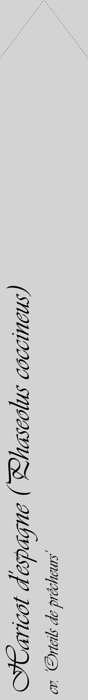 Étiquette de : Phaseolus coccineus cv. 'Orteils de prêcheurs' - format c - style noire56_simpleviv avec comestibilité