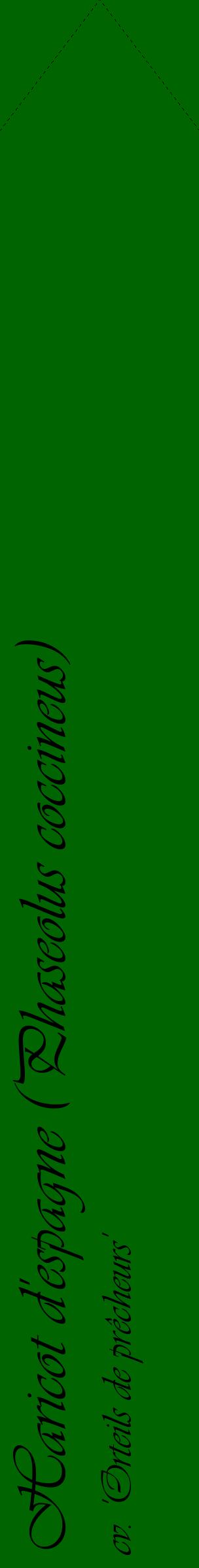 Étiquette de : Phaseolus coccineus cv. 'Orteils de prêcheurs' - format c - style noire8_simpleviv avec comestibilité