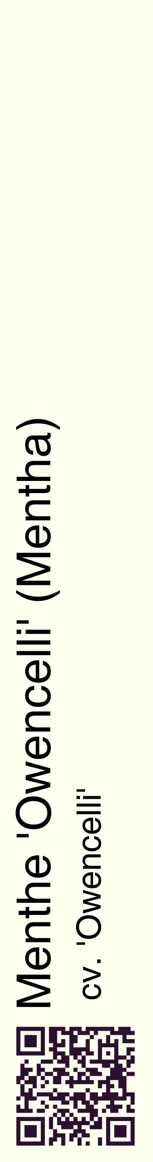 Étiquette de : Mentha cv. 'Owencelli' - format c - style noire19_basiquehel avec qrcode et comestibilité