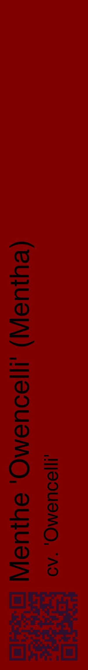 Étiquette de : Mentha cv. 'Owencelli' - format c - style noire29_basiquehel avec qrcode et comestibilité