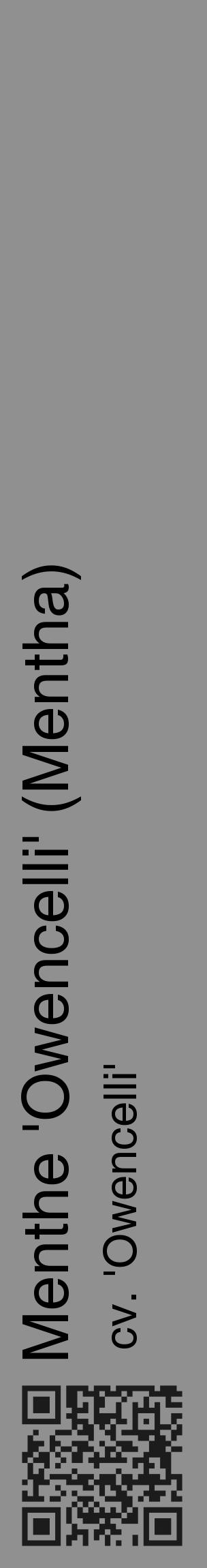 Étiquette de : Mentha cv. 'Owencelli' - format c - style noire4_basique_basiquehel avec qrcode et comestibilité - position verticale