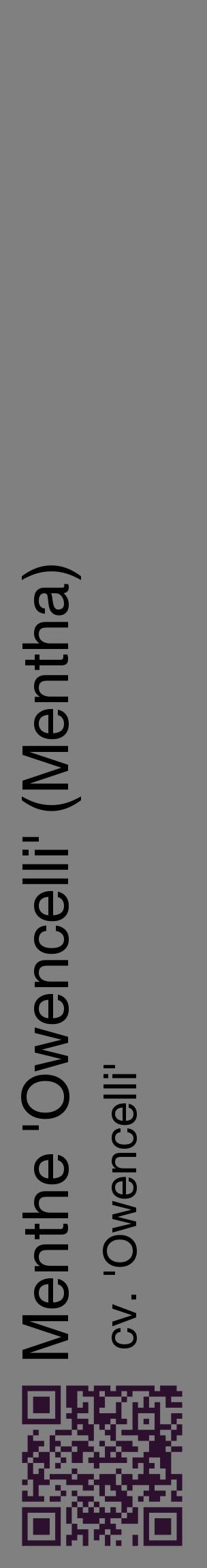 Étiquette de : Mentha cv. 'Owencelli' - format c - style noire57_basiquehel avec qrcode et comestibilité
