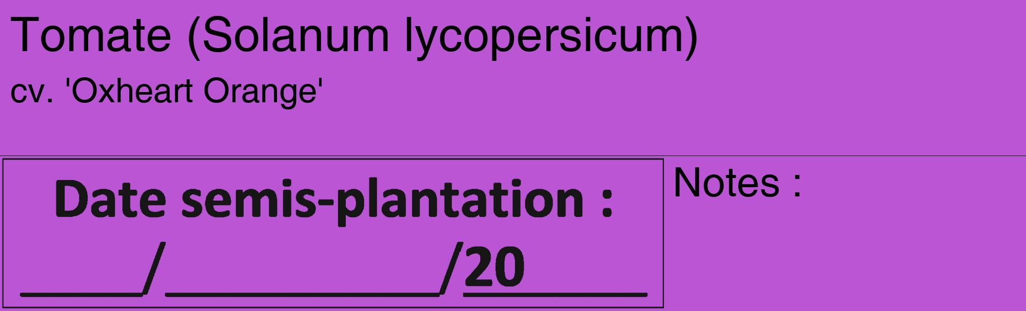 Étiquette de : Solanum lycopersicum cv. 'Oxheart Orange' - format c - style noire50_basique_basiquehel avec comestibilité