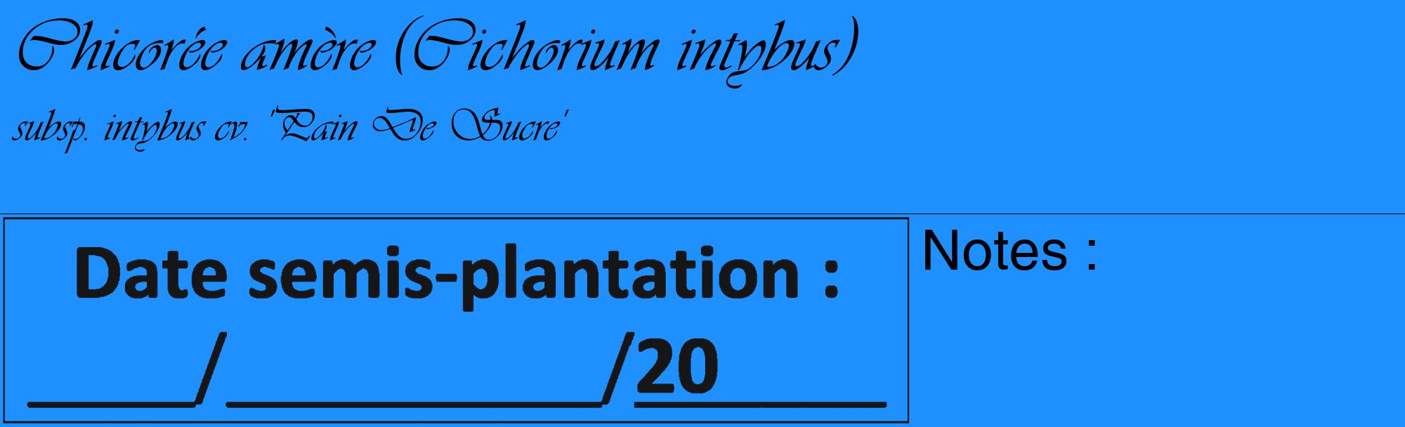 Étiquette de : Cichorium intybus subsp. intybus cv. 'Pain De Sucre' - format c - style noire3_basique_basiqueviv avec comestibilité