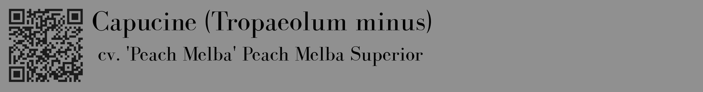 Étiquette de : Tropaeolum minus cv. 'Peach Melba' - format c - style noire4_basique_basiquebod avec qrcode et comestibilité