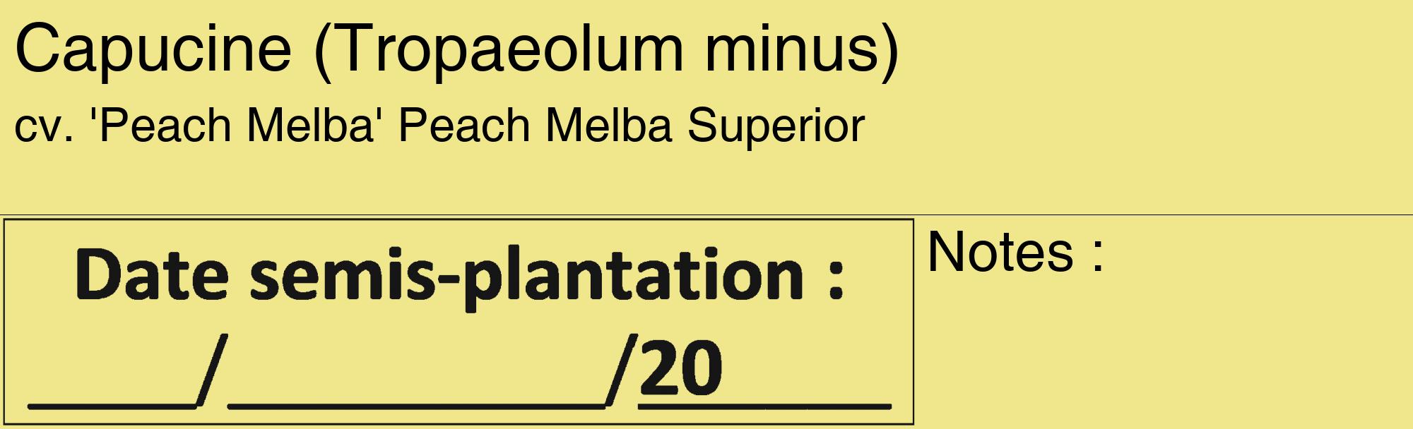 Étiquette de : Tropaeolum minus cv. 'Peach Melba' - format c - style noire20_basique_basiquehel avec comestibilité