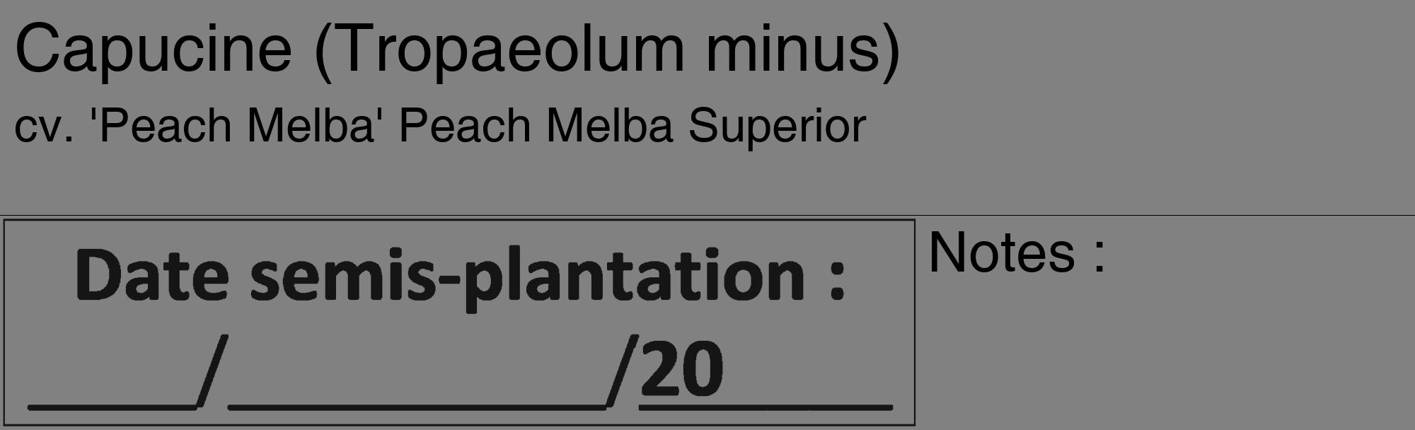 Étiquette de : Tropaeolum minus cv. 'Peach Melba' - format c - style noire50_basique_basiquehel avec comestibilité