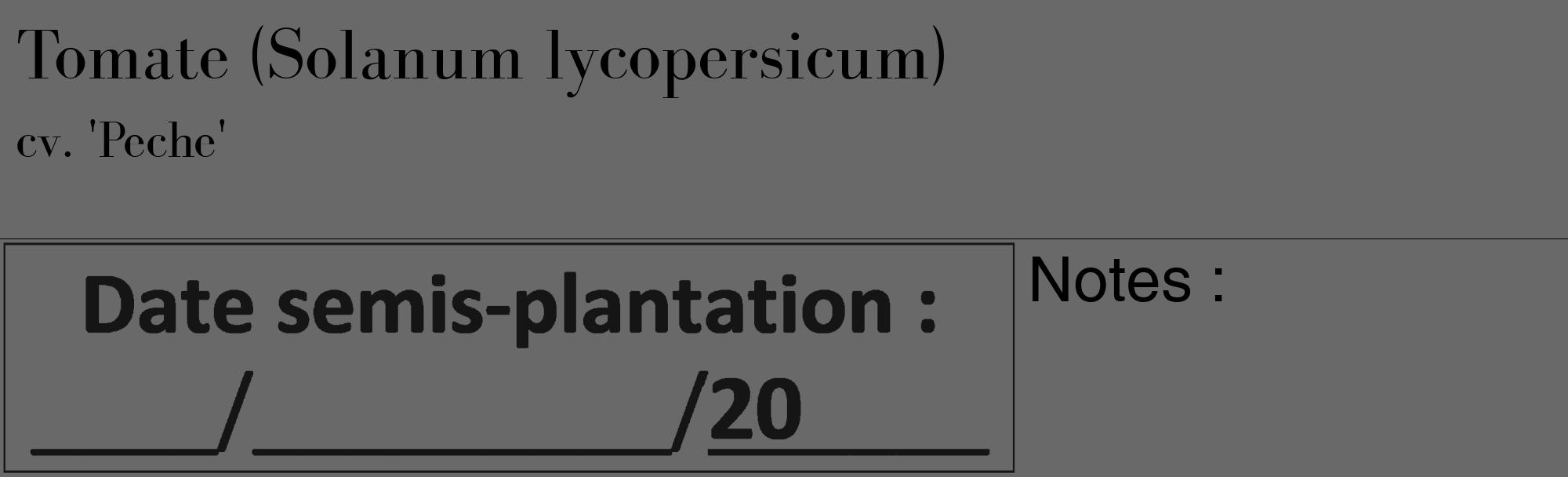 Étiquette de : Solanum lycopersicum cv. 'Peche' - format c - style noire11_basique_basiquebod avec comestibilité