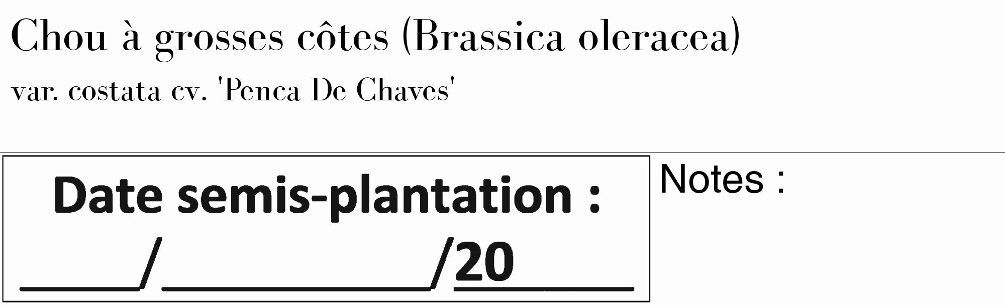 Étiquette de : Brassica oleracea var. costata cv. 'Penca De Chaves' - format c - style noire19_basique_basiquebod avec comestibilité