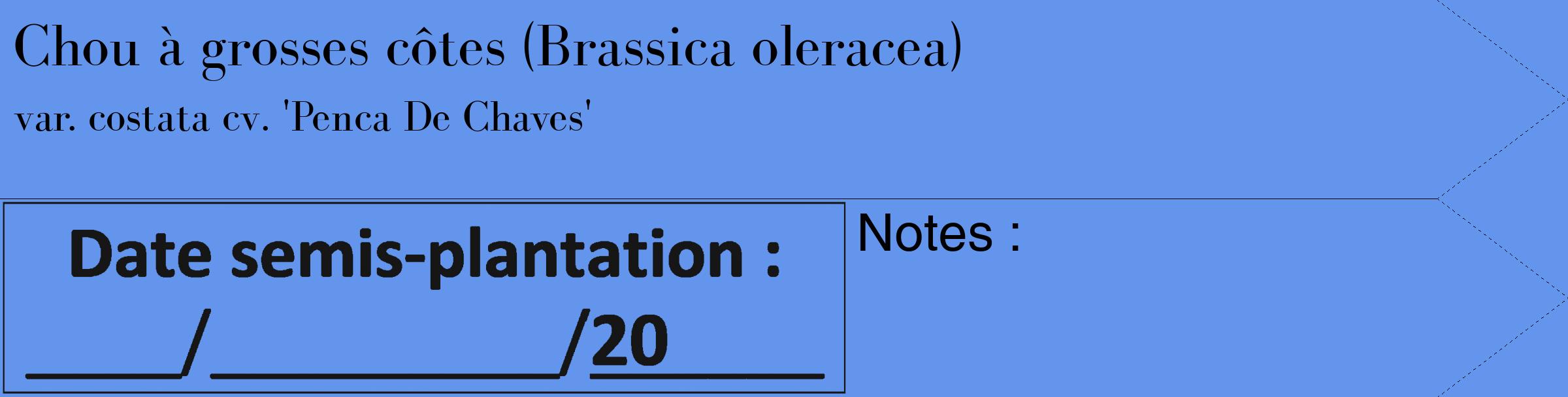 Étiquette de : Brassica oleracea var. costata cv. 'Penca De Chaves' - format c - style noire4_simple_simplebod avec comestibilité