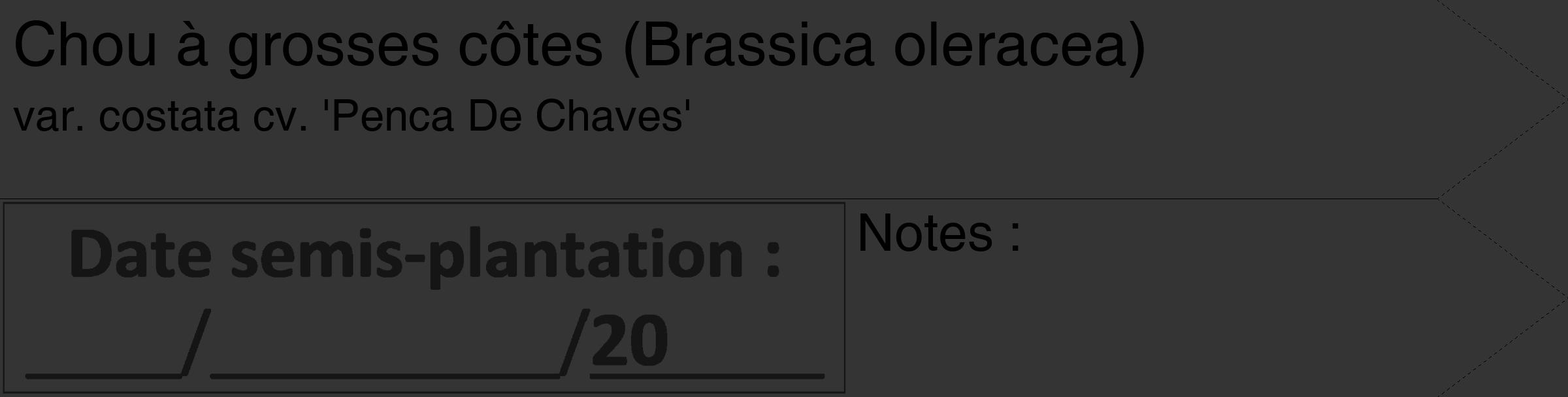 Étiquette de : Brassica oleracea var. costata cv. 'Penca De Chaves' - format c - style noire46_simple_simplehel avec comestibilité
