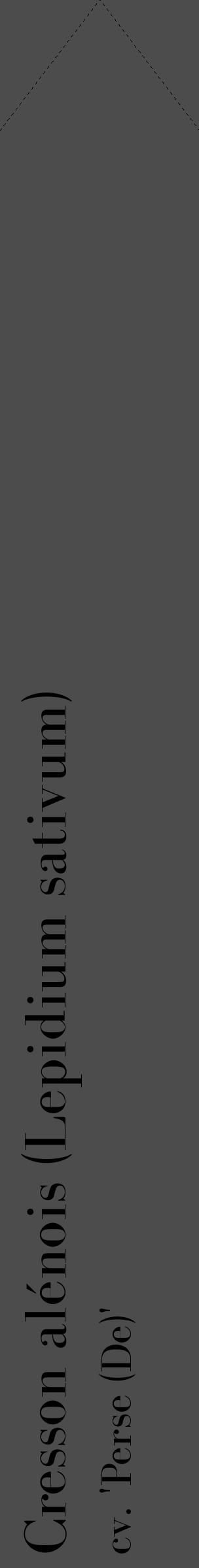 Étiquette de : Lepidium sativum cv. 'Perse (De)' - format c - style noire27_simple_simplebod avec comestibilité - position verticale