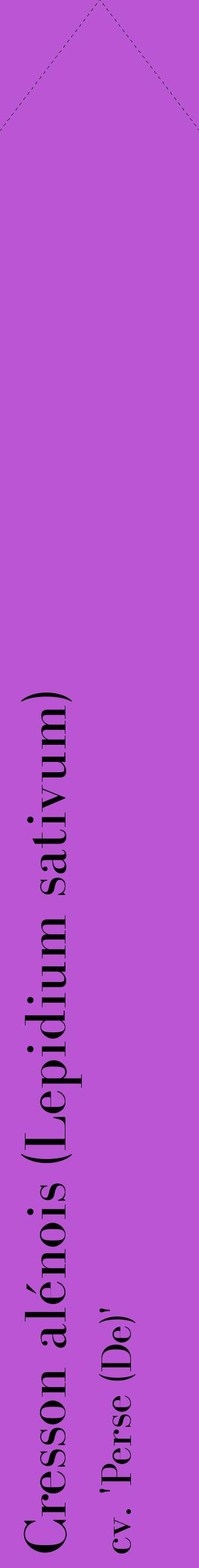 Étiquette de : Lepidium sativum cv. 'Perse (De)' - format c - style noire50_simplebod avec comestibilité